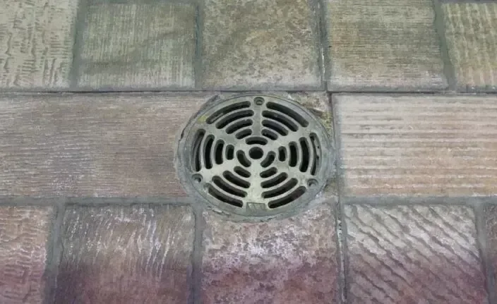 Floor drain grate, often the first place a sewer backup appears
