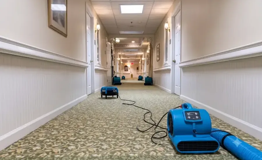 Air mover drying wet carpet along a commercial corridor