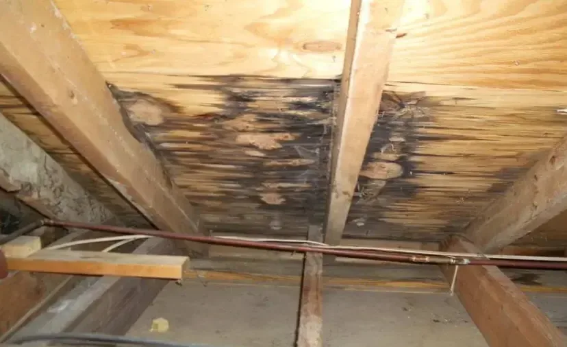 Water stains spreading across attic roof decking under a leak